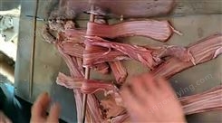 猪肠头剖开机器 自动剖肠机