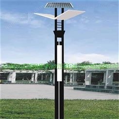 太阳能灯具 道路照明灯 6米太阳能路灯  言成