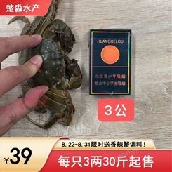 鲜活大闸蟹/六月黄螃蟹每只3两中等规格39元/斤 8月21到31日*满30斤送香辣蟹调料