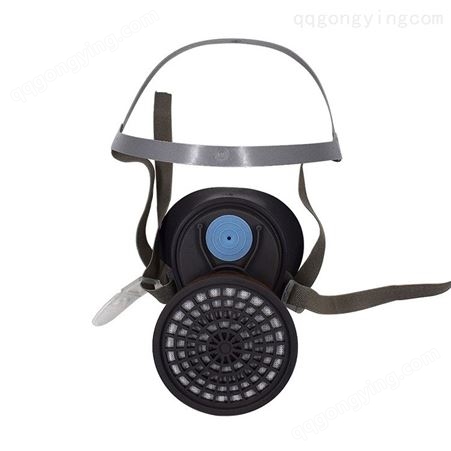 自吸过滤式防毒面具2001防毒化工气体烟呼吸防护面套P-A-1