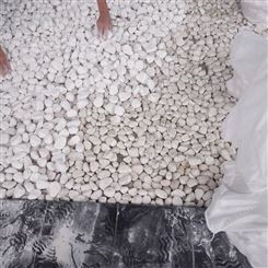 白色小石子 铺路装饰玩耍用鹅卵石盆栽可用 胶粘石 洗米石