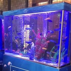 室内海狮表演租赁 海洋展览活动 美人鱼表演出租