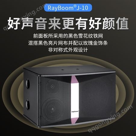 RayBoom 娱乐三分频音箱 卡包音响 娱乐场所优选 低频音响