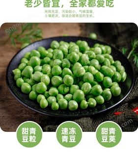 速冻青豆粒 食品生产新鲜青豆原材料 低温储存 脱水蔬菜加工