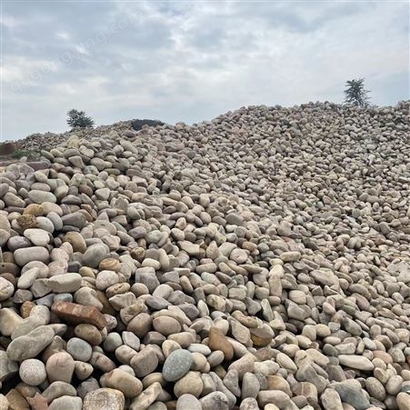 韩玉矿产 人工湖铺垫造景8-16公分石笼墙造景用大块鹅卵石 河卵石