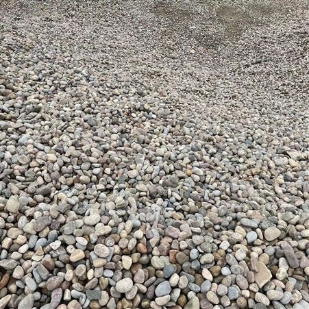 韩玉矿产 供应过滤鹅卵石公园 3-5cm 铺录园林造景垫层用卵石
