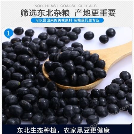 东北黑豆 黑大豆进出口贸易厂家 黑龙江有机黑豆批发公司-和粮农业