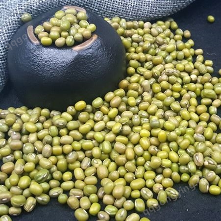 绿豆 五谷杂粮有机绿豆 绿小豆 可发芽杂粮980g员工福利 和粮农业