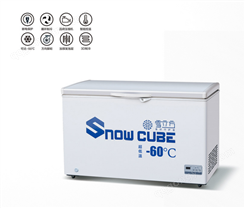 雪立方DW-208 商用冷柜卧式 水果蔬菜食品材料超低温保鲜冷藏柜