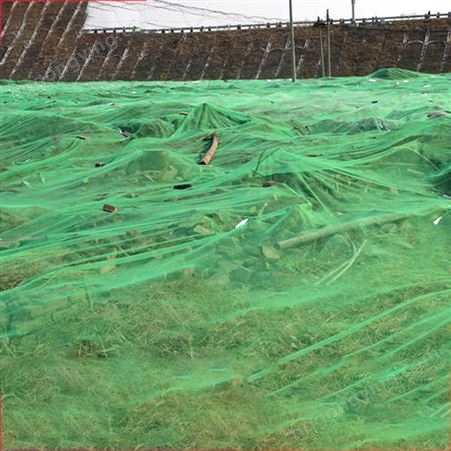 华瑞防尘网 建筑工地盖土网 裸土覆盖绿网 聚乙烯环保盖尘网