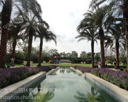 上海长宁草坪绿化灌溉花卉租赁