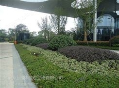 上海虹口筑山园林 园林景观 绿化养护案例