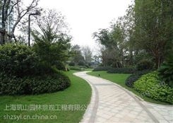 上海松江花镜植物 私家花园设计 花园养护
