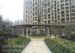 上海普陀室内花卉租赁竹苗绿化养护案例
