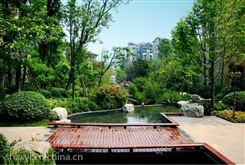 上海黄浦景观工程大树修剪竹苗供应