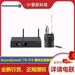 beyerdynamic 拜亚动力 TG510 无线乐器话筒厂家 远程技术支持 可