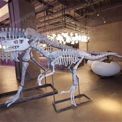 传扬文化 定制恐龙化石骨架仿真恐龙电动机模玻璃钢产品维修上色
