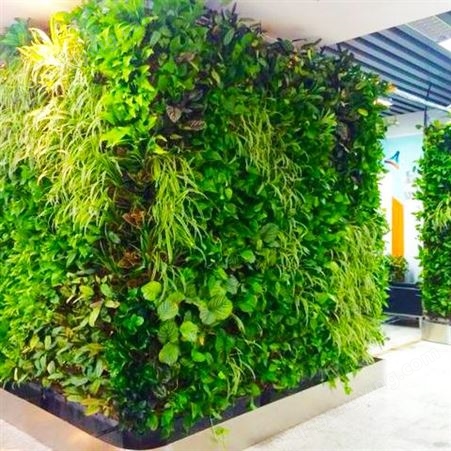 垂直绿化容器 立体景观植物墙种植盒子可定制免费测量