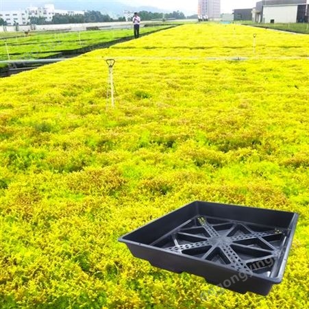 屋顶绿化模块花盆 楼顶容器式塑料花箱提供组合式蓄排水育苗盘