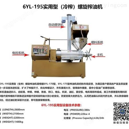 6YL-195实用型螺旋榨油机 多功能榨油设备花生油生产线